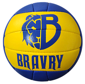 М'яч волейбольний професійний Bravry Samba BY116