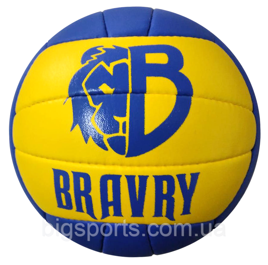 М'яч волейбольний професійний Bravry Samba BY116