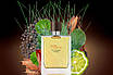 Чоловічі парфуми Hermes Terre D'Hermes Eau Intense Vetiver 50ml парфумована вода, цитрусовий деревний аромат, фото 6