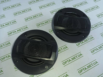 Акустичні динаміки машини для TS-A1095S (200W/4")