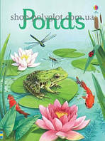 Книга Beginners Ponds