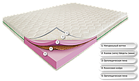 Тропик Айленд 190х90х17, с кокосом, Зима/Лето, коттоновый чехол, беспружинный ортопедический матрас
