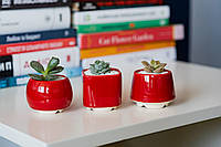 Червоний керамічний горщик для кактусів, сукулентів, розмір XS 4,6-5.2 см