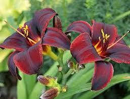 Лійник Чоколад Кенді