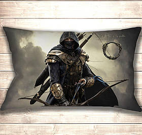 Подушка 3D The Elder Scrolls Online Rogue Assasin