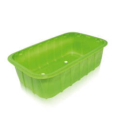 Одноразовий контейнер для ягід ПП-702 - зелений, 0,5 кг, 800 мл, 190х114х53 мм, 100 шт/уп