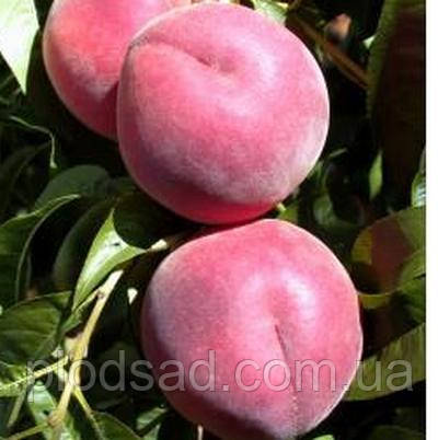 Персик Річ Мей