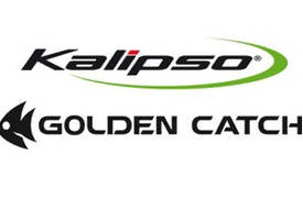 GOLDEN CATCH