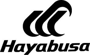 HAYABUSA