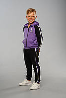 Детский спортивный костюм для мальчиков Endy Zebra Фиолет (98-128 см) на весну осень лето
