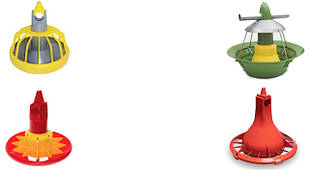 Автоматичні кормушки для птиці