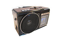 Радіоприймач колонка MP3 Golon RX-080 Wooden
