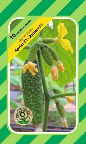 Огірок Артист F1 - 10 насінин Агропакгруп, фото 1