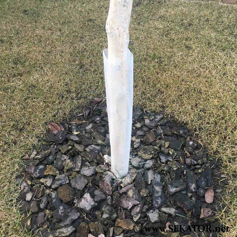 Сітка у відрізках по 80 см для захисту дерев від зайців Agrosimex / Агросімекс, 10 шт (Польща)