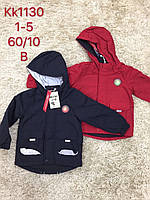 Куртка для хлопчиків оптом, S&D, 1-5 років, арт. KK1130, фото 9