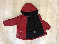 Куртка для хлопчиків оптом, S&D, 1-5 років, арт. KK1130, фото 5