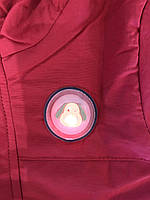 Куртка для хлопчиків оптом, S&D, 1-5 років, арт. KK1130, фото 8