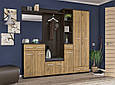 Маленька передпокій ТРІО дуб сонома (Мебель-Сервіс), фото 5
