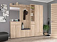 Передпокій ТРІО дуб крафт (Мебель-Сервіс), фото 2
