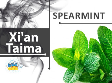 Ароматизатор xi'an Taima Spearmint (М'ята)