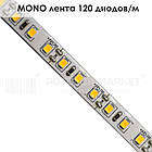 MONO стрічка 120 діодів/м, фото 2