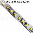MONO стрічка 120 діодів/м, фото 4