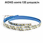 MONO стрічка 120 діодів/м, фото 5