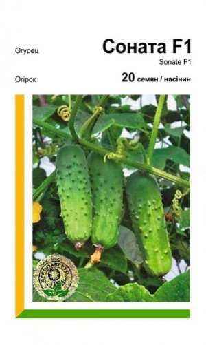 Огірок Соната F1 - 20 насінин (Агропакгруп), фото 1