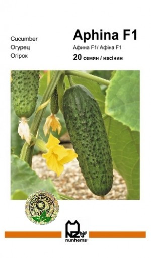 Огірок Афіна F1 - 20 насінин (Агропакгруп), фото 1