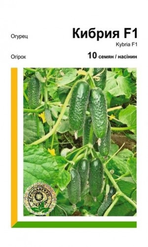 Огірок Кібрія F1 - 10 насінин Агропакгруп, фото 1