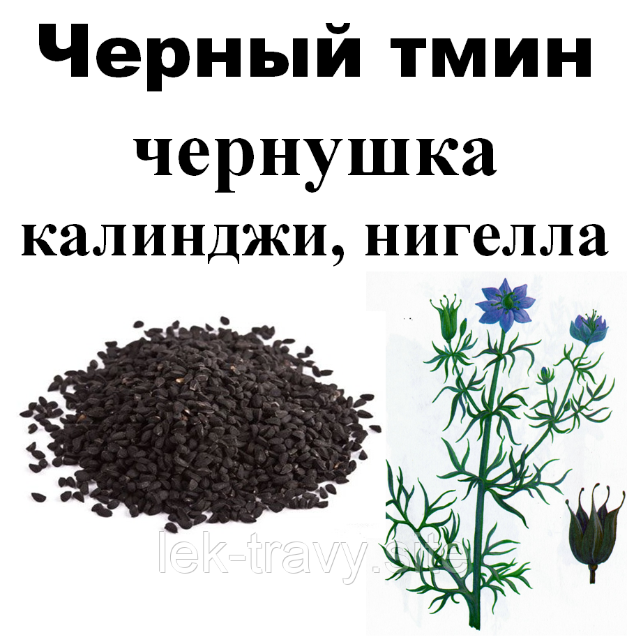 Где Купить Тмин Семя В Аптеке Цена