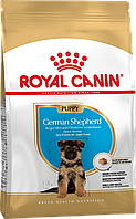 Royal Canin German Shepherd Puppy 3кг сухой корм для щенков породы немецкая овчарка до 15 месяцев