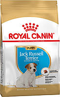 Royal Canin Jack Russell Terrier Puppy 1,5кг сухий корм для цуценят породи джек-разсел-тер'єр до 10 місяців