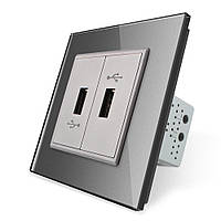 Розетка два USB з блоком живлення 2.1 А 5V Livolo сірий скло (VL-C792U-15) VL-C792U-15 Розетка два USB з блоком живлення 2.1 А 5V Livolo сірий скло (VL-C792U-15)