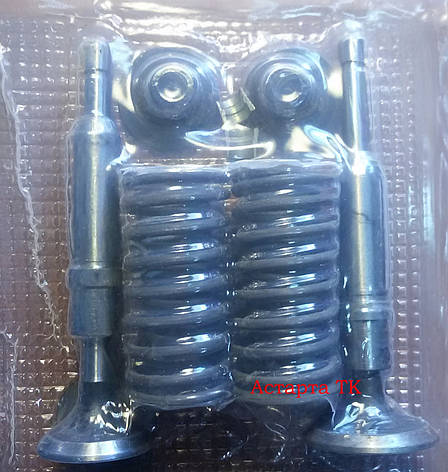 Набір для ремонту головки Д-144, Д-21, фото 2