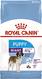 Royal Canin Giant Puppy 1кг сухий корм для цуценят гігантських порід собак від 2 до 8 місяців