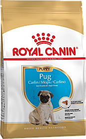 Royal Canin Pug Puppy 1,5 кг сухий корм для цуценят породи мопс від 2 до 10 місяців