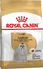 Royal Canin Maltese Adult 0,5кг сухий корм для собак породи мальтійська болонка