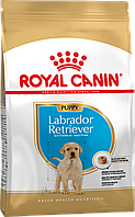 Royal Canin LABRADOR PUPPY 12кг - сухой корм для щенков породы лабрадор до 15 месяцев