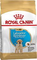 Royal Canin Labrador Puppy 3кг сухой корм для щенков породы лабрадор до 15 месяцев