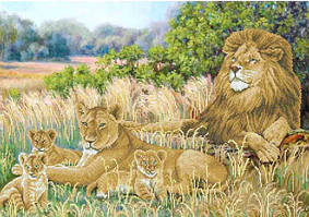 Тварини, птахи