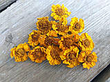 Сухоцвіт голівок квітів, натуральний, 50 шт\уп. різних розмірів, фото 6