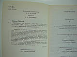 Галілео Галілея. Пробірних справ майстер (б/у)., фото 5