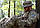 Військова панама P1G-Tac® Military Boonie Hat - MM14, фото 6