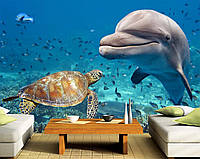 Фото Обои "Дельфин и черепаха" - Любой размер! Читаем описание!