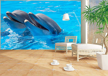 Фото Шпалери "Два дельфіна 2" - Будь-який розмір! Читаємо опис!