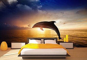 Фото Шпалери "Дельфін та світанок" - Будь-який розмір! Читаємо опис!