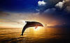 Фото Шпалери "Дельфін та світанок" - Будь-який розмір! Читаємо опис!, фото 3