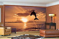 Фото Обои "Дельфин на оранжевом закате" - Любой размер! Читаем описание!