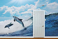Фото Обои "Дельфины и чайка" - Любой размер! Читаем описание!